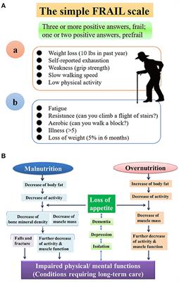 Herbal Medicine Ninjin'yoeito in the Treatment of Sarcopenia and Frailty